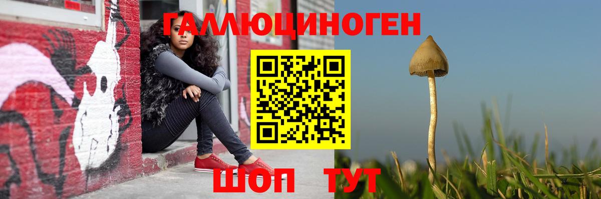 Псилоцибиновые грибы MAGIC MUSHROOMS Усинск